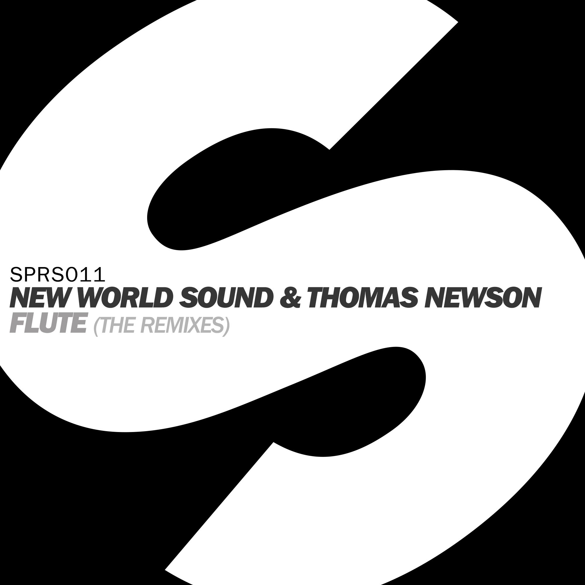 flute the remixes new world sound 