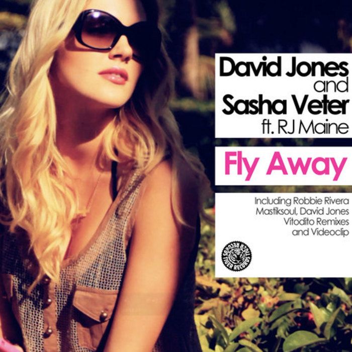 fly away david jones 