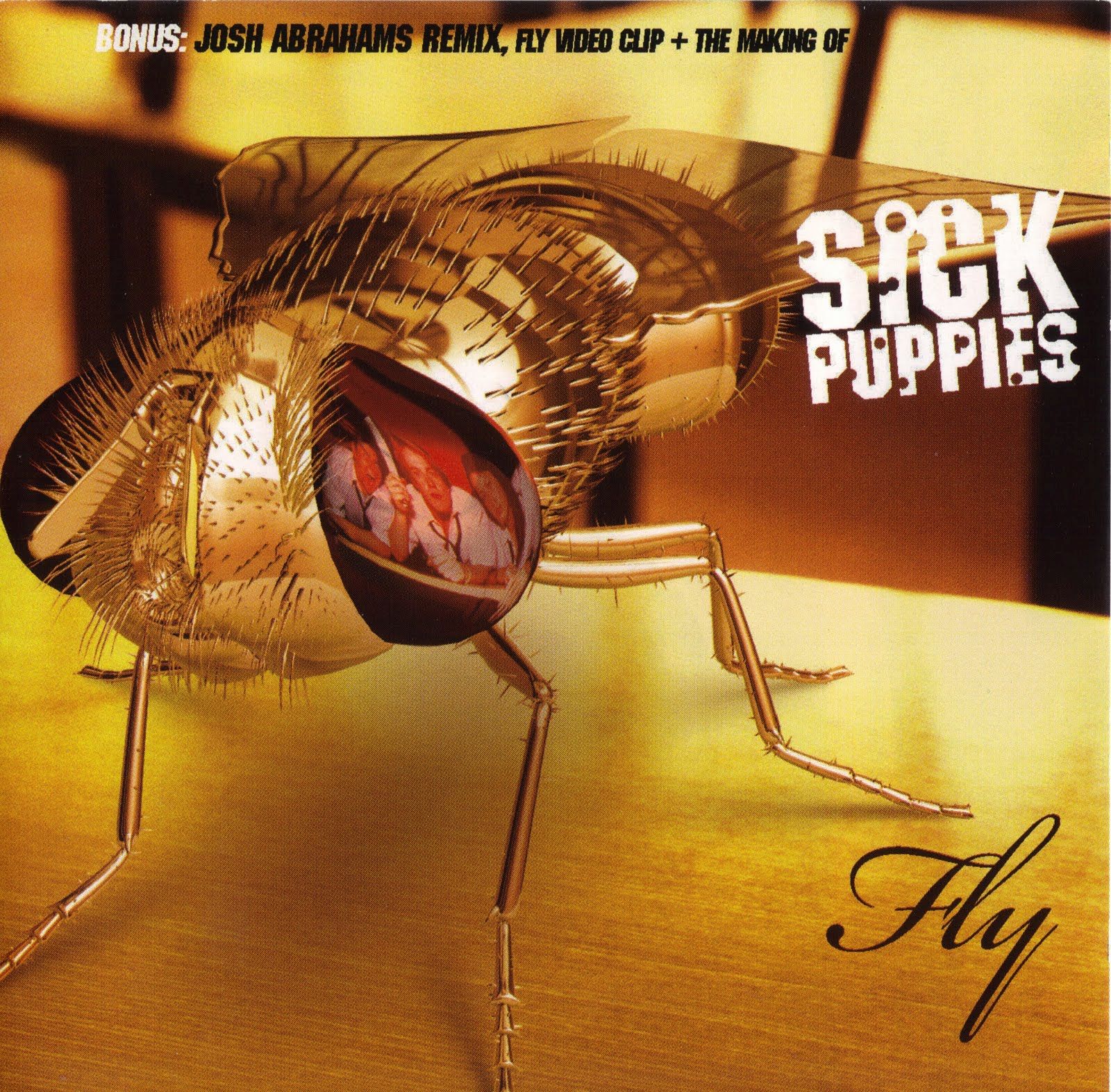 fly sick puppies 