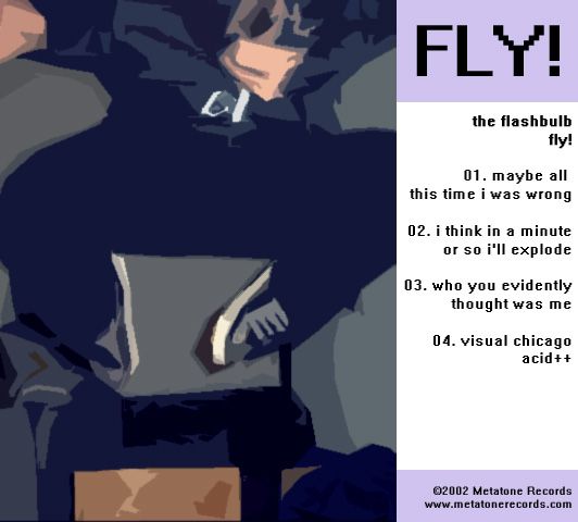 fly the flashbulb  