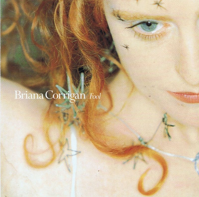 fool briana corrigan 