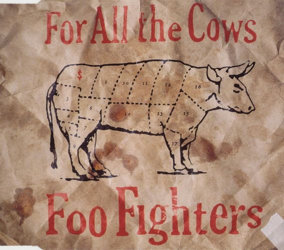 for all the cows foo fighters 