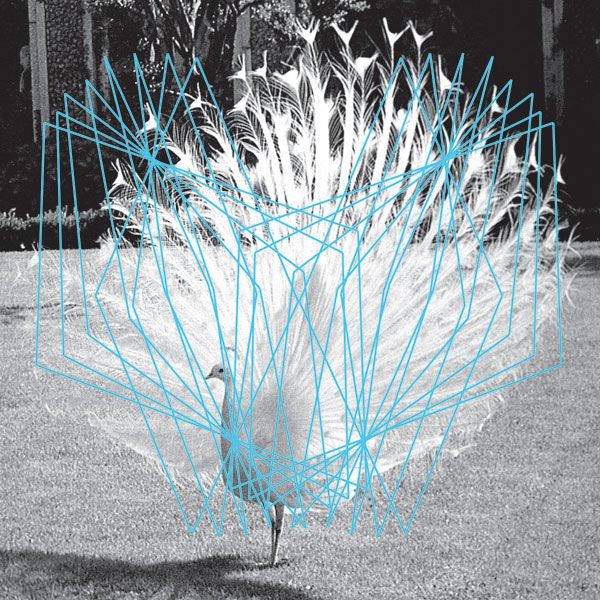 forma ii thomas ankersmit 