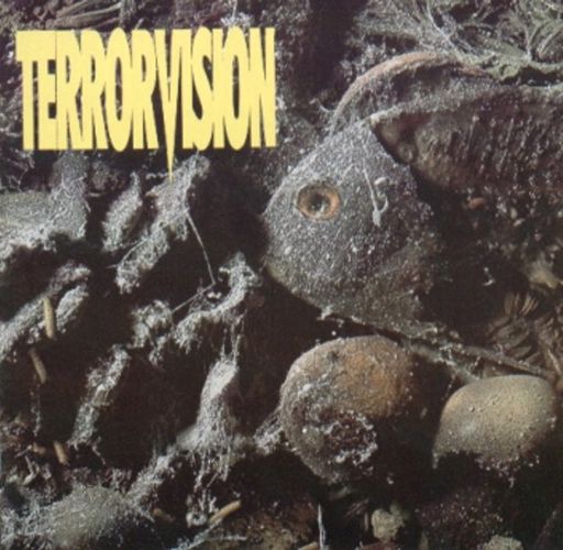 formaldehyde terrorvision  
