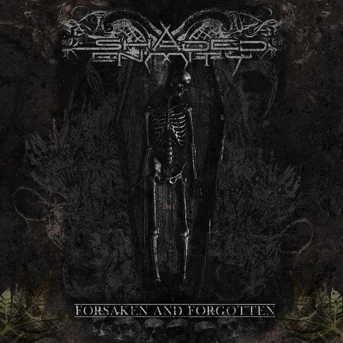 forsaken and forgott shaded enmity  