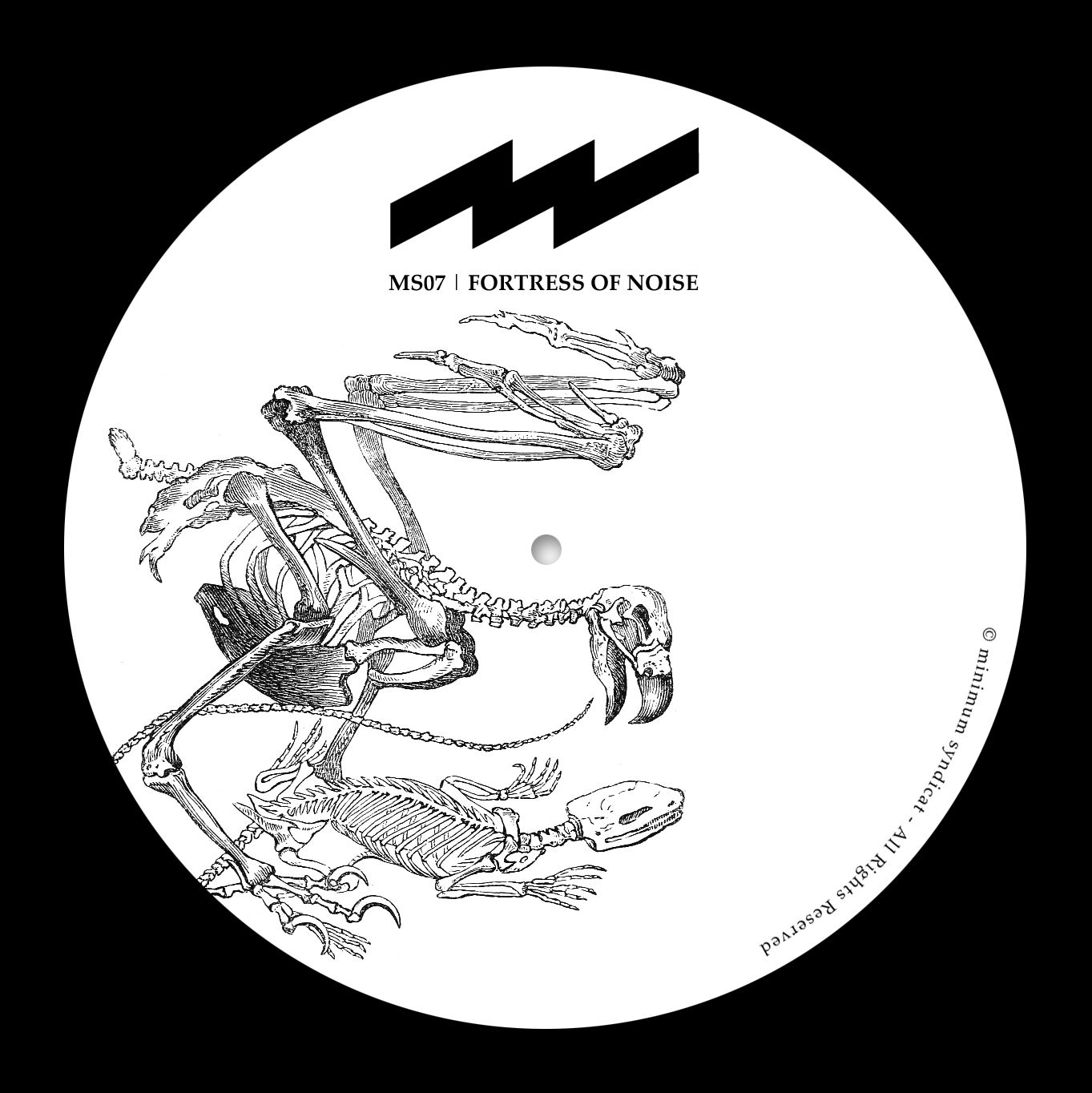 fortress of noise dmitry distant 