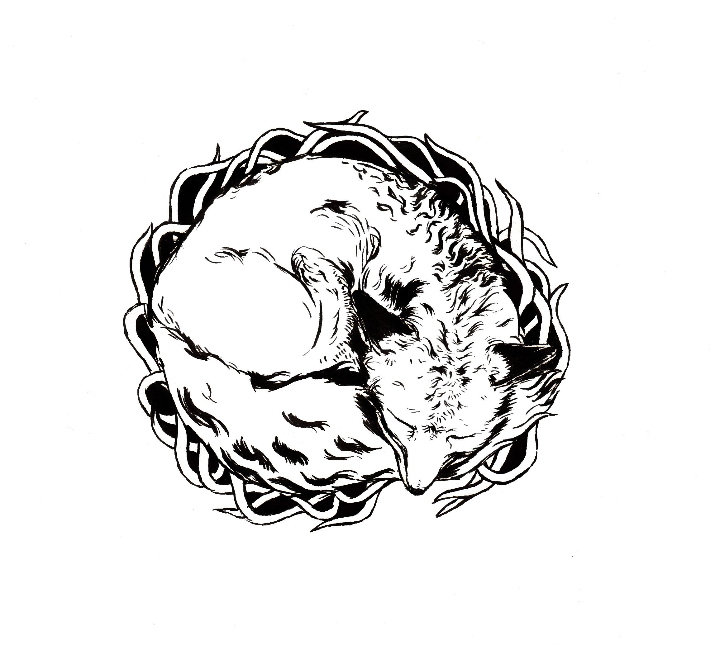 fox adam snow 282kbps 