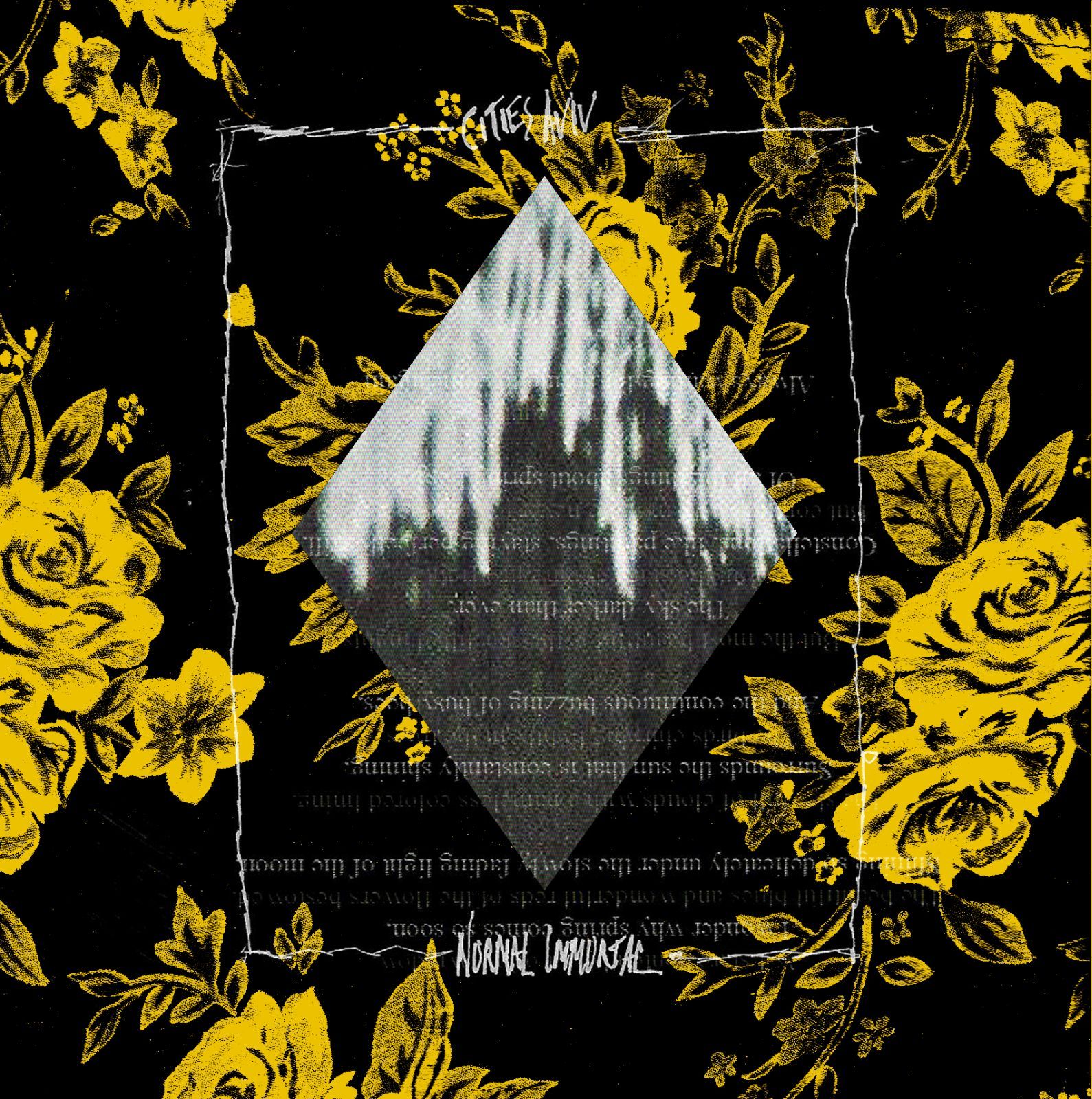 n o r m a l i m m o r t a l cities aviv 