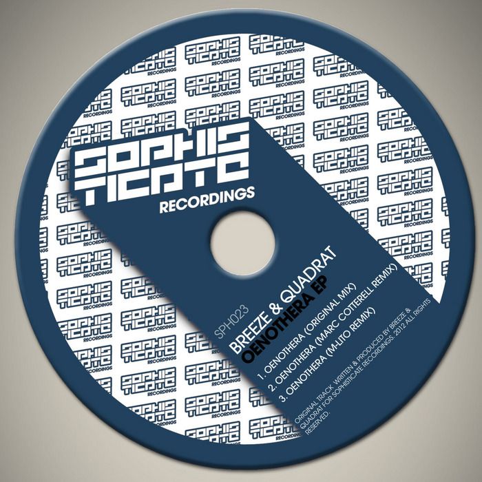 oenothera breeze quadrat  