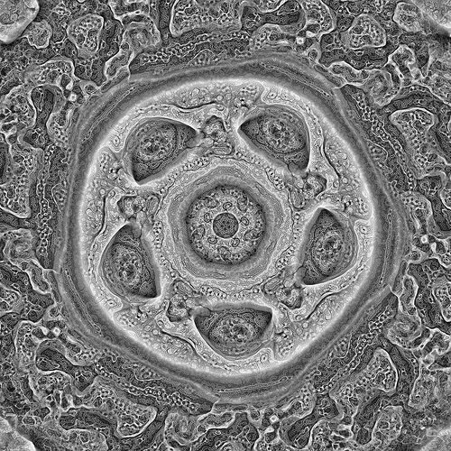 on automata cabal faction 