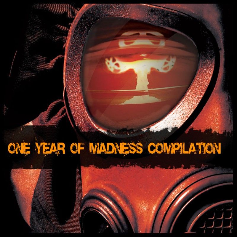 one year of madness andrew vermin 