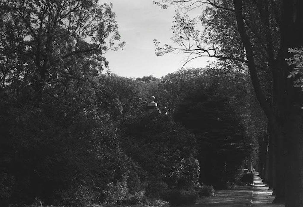 one young lover saskia sansom 