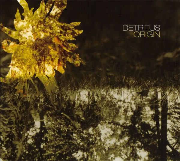 origin detritus 