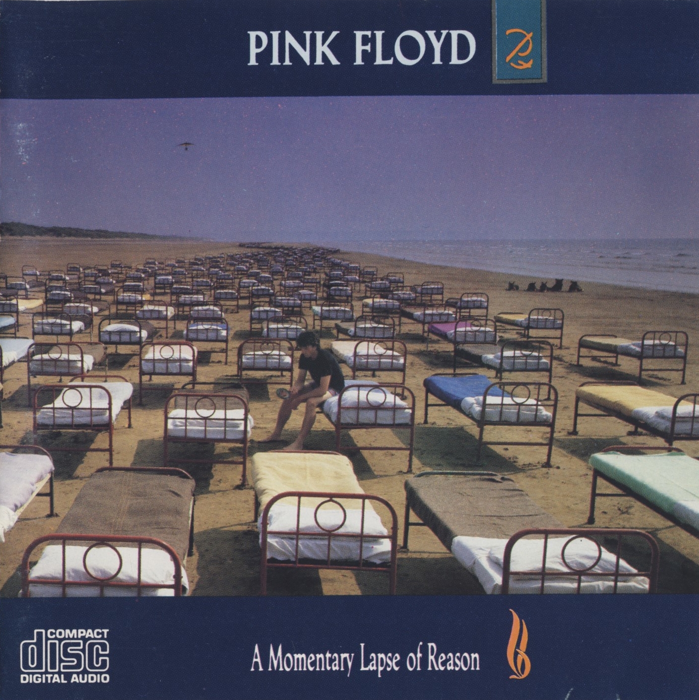 Pink%20Floyd%20-%20A%20Momentary%20Lapse