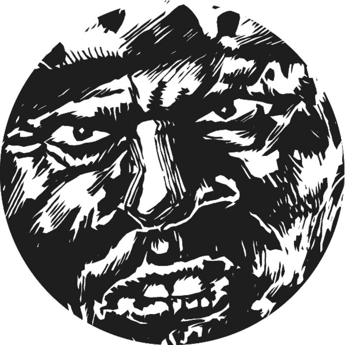 quark point of see quark  