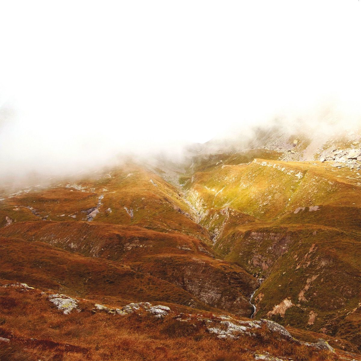 quassu c fine before you came 