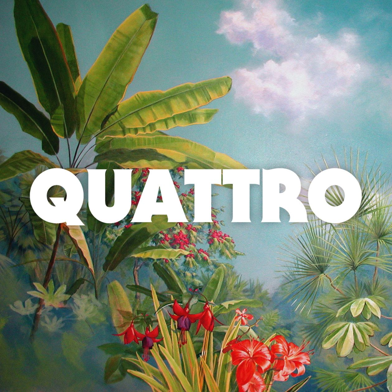 quattro kae 