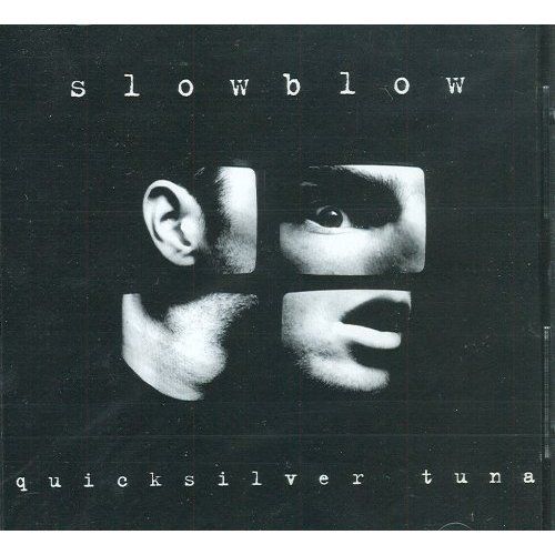 quicksilver tuna slowblow 