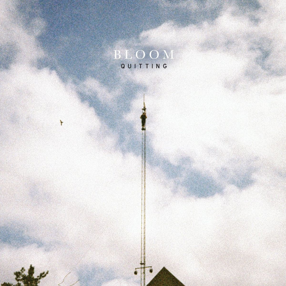 quitting bloom 