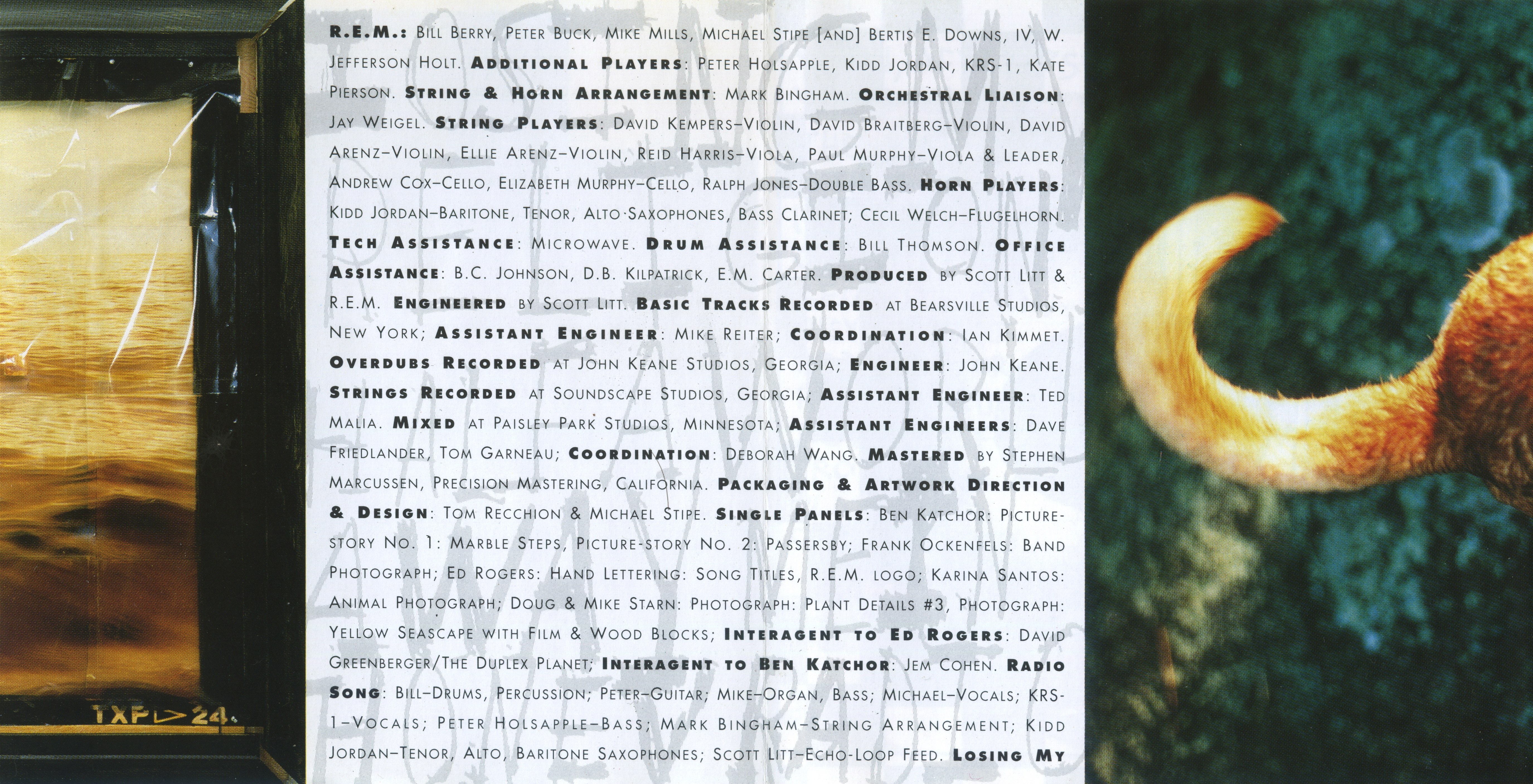 R E M Out Of Time Booklet3 Cd Covers Cover Century Over 500 000 Album Art Covers For Free