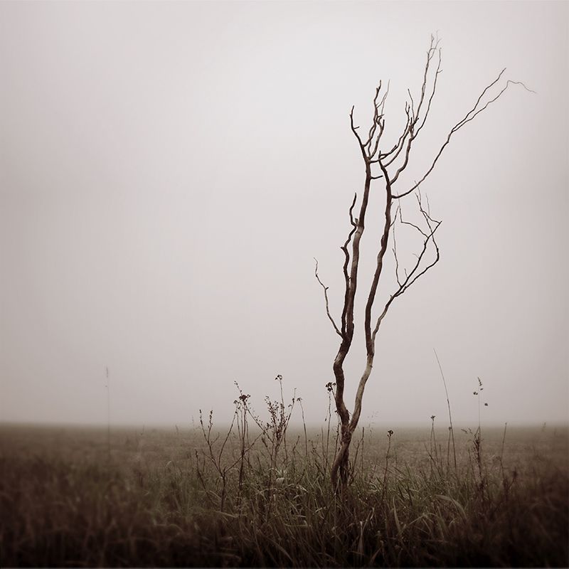 satumaa wouter veldhuis  