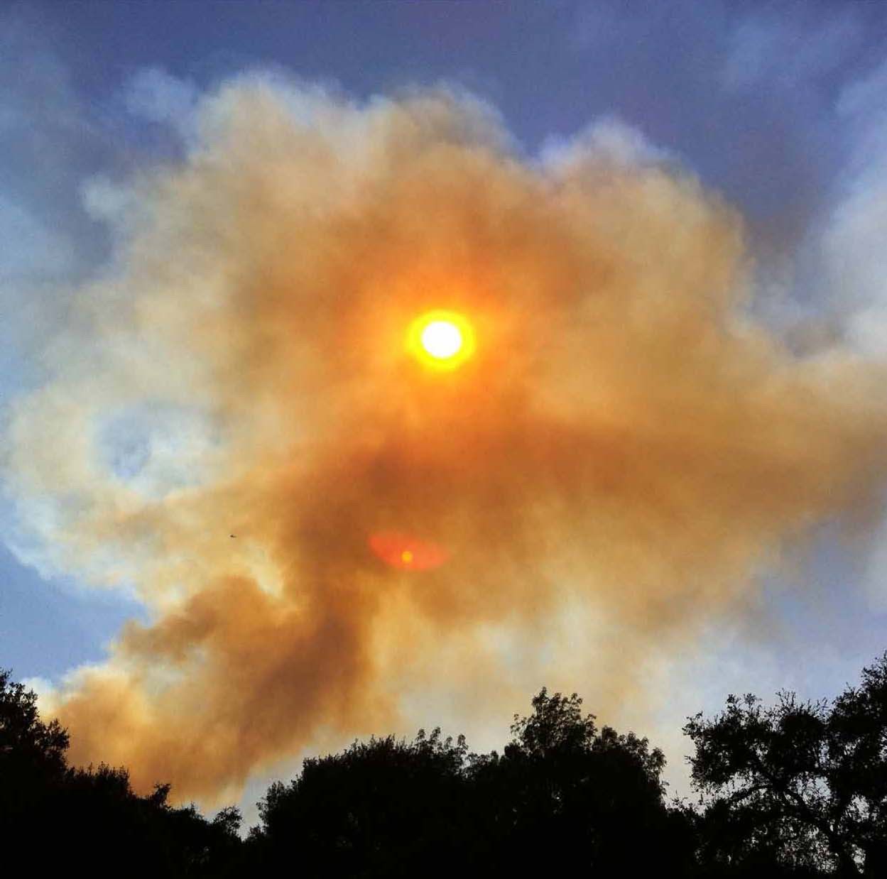 saturations derek rogers  