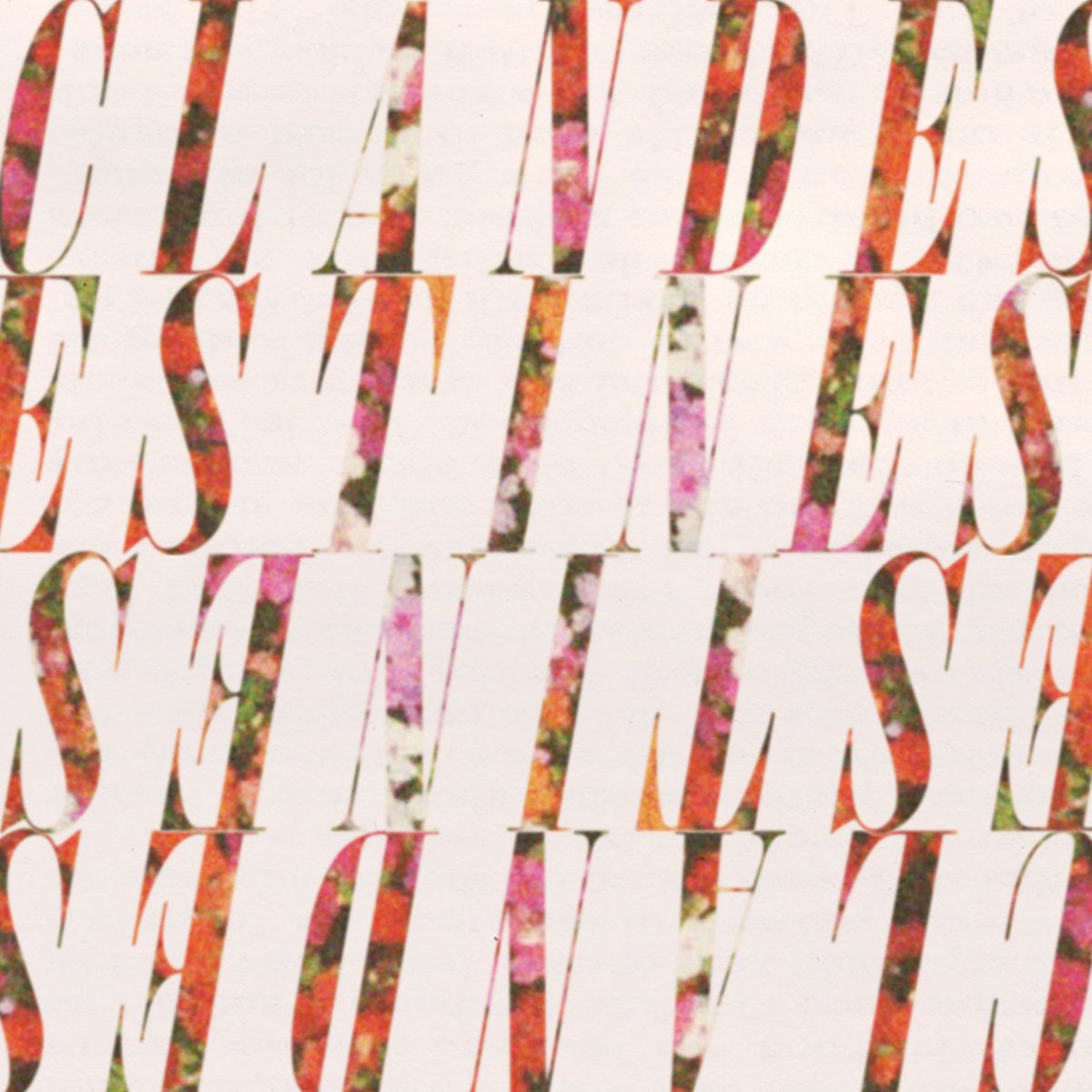 saturday as usual clandestines 