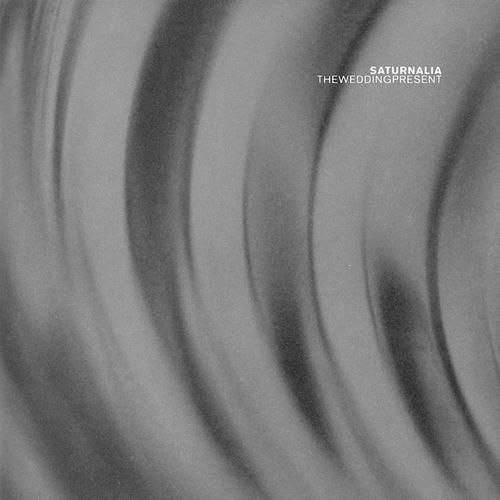 saturnalia the wedding present 