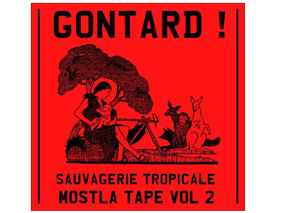 sauvagerie tropicale gontard 