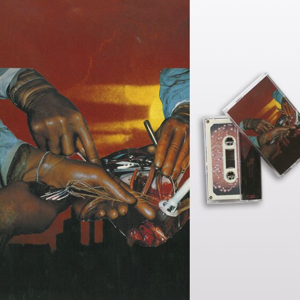 savage times glass house 