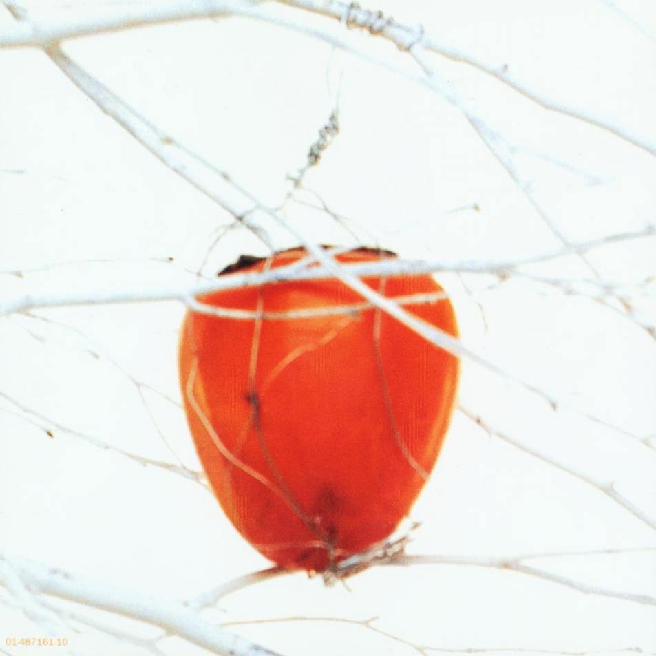 savage garden  savage garden ab