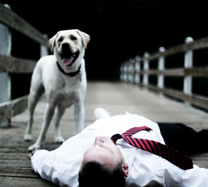 saving seamus ryan mc esoteric 