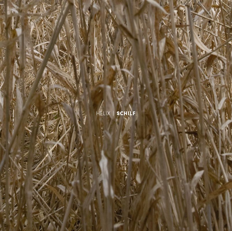 schilf andreas stahel 