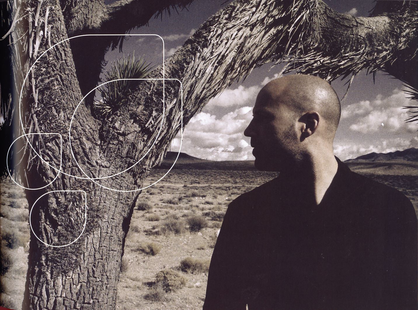 schiller sehnsucht booklet5