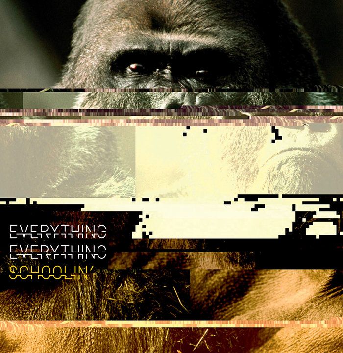 schoolin everything everythin  