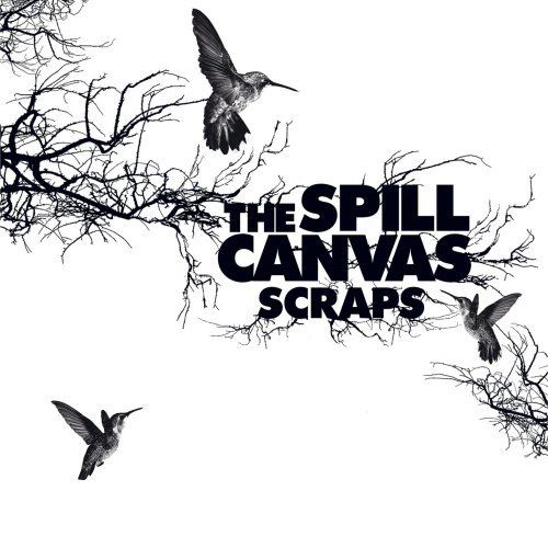 scraps the spill canvas  