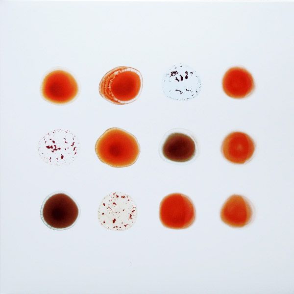 scratch my back an arcade fire 