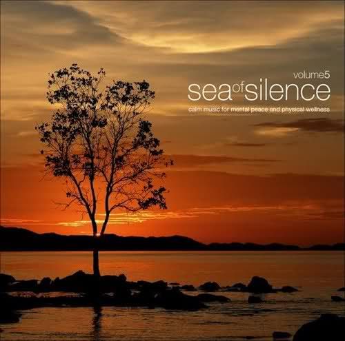 sea of silence vol beleever 