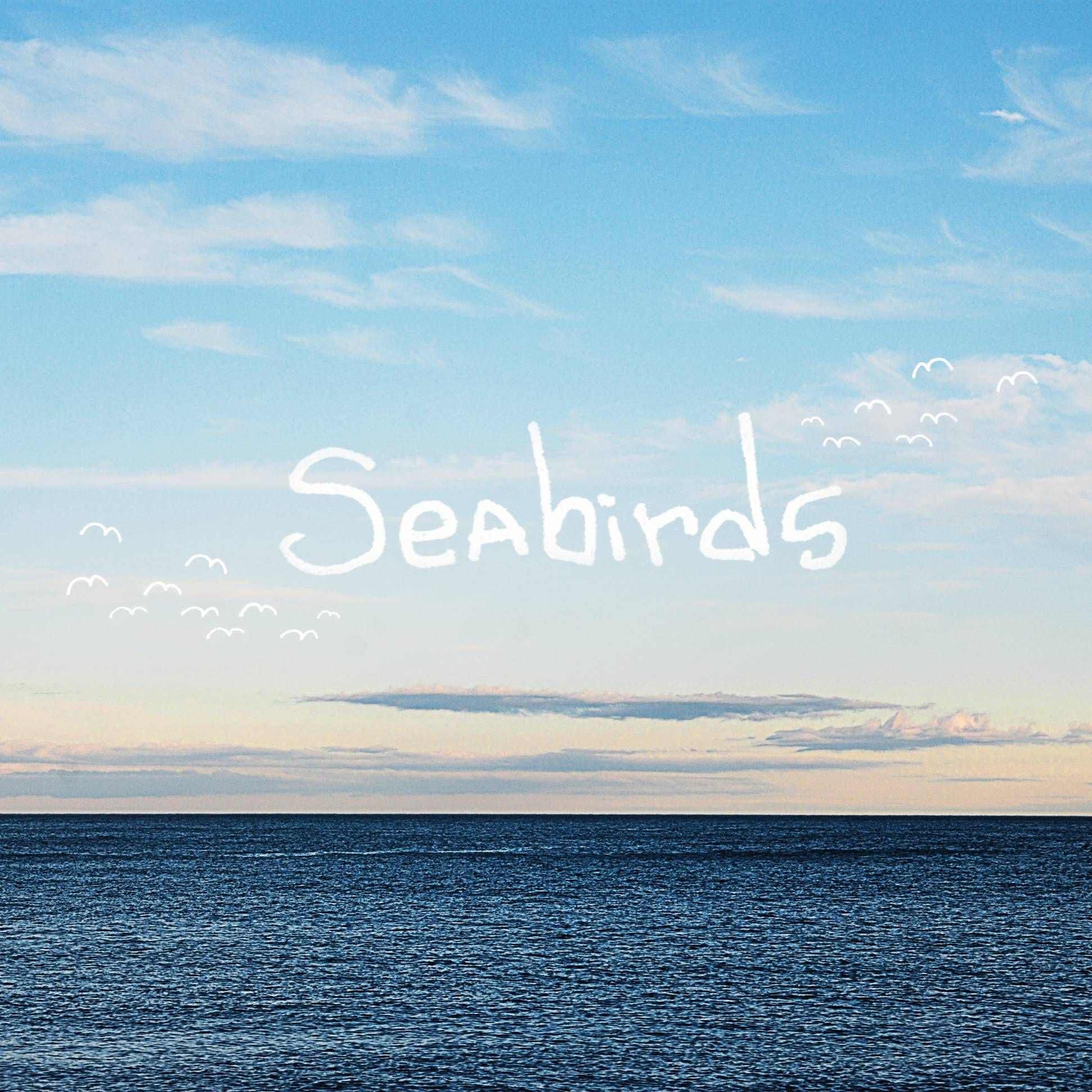 seabirds nathaniel noton free 