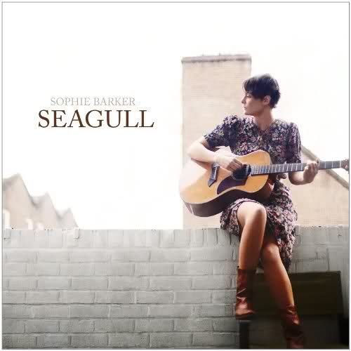 seagull sophie barker  