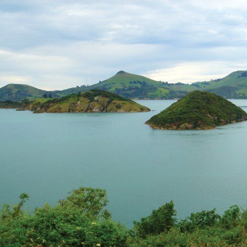 secret earth the dead c 