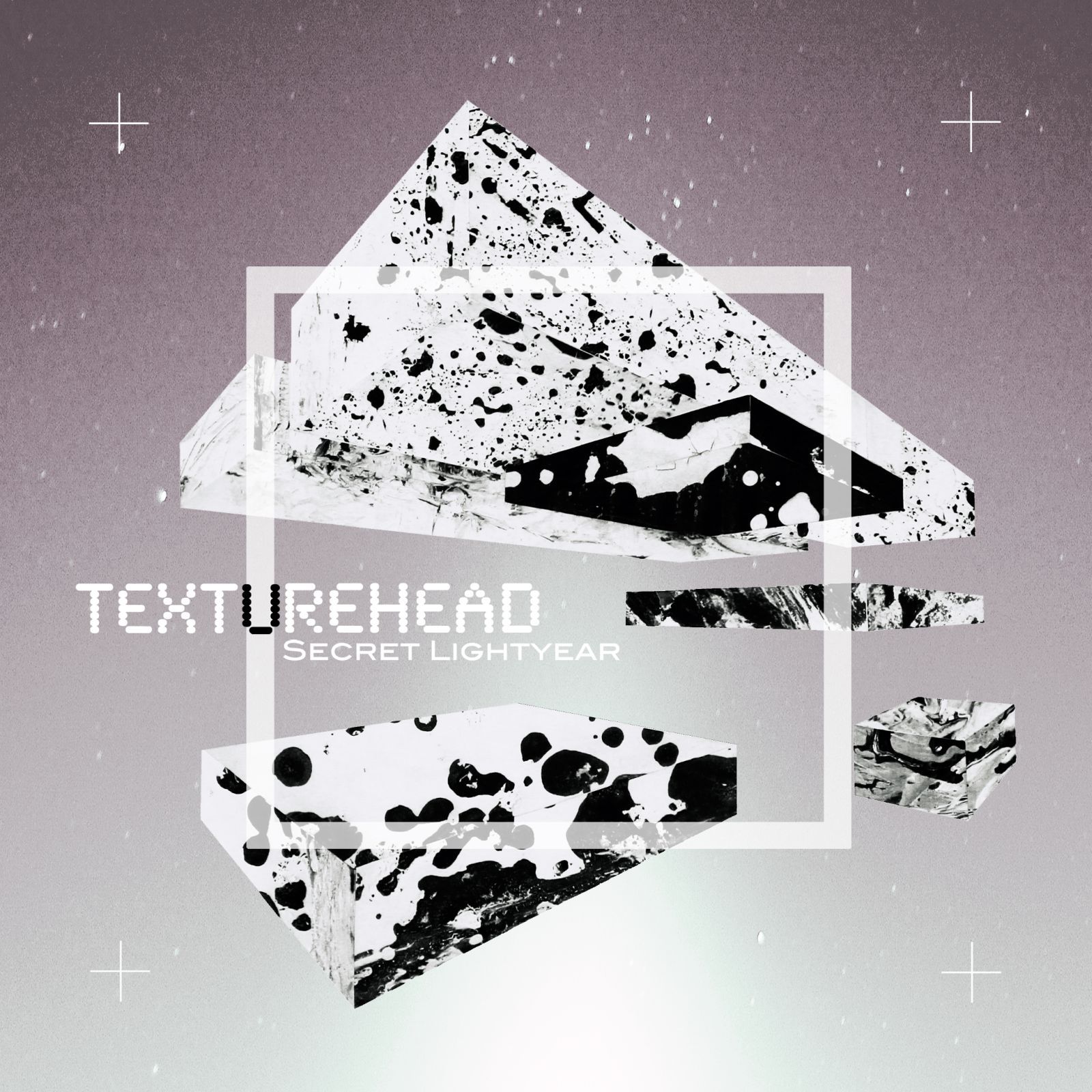 secret lightyear of the human condition  