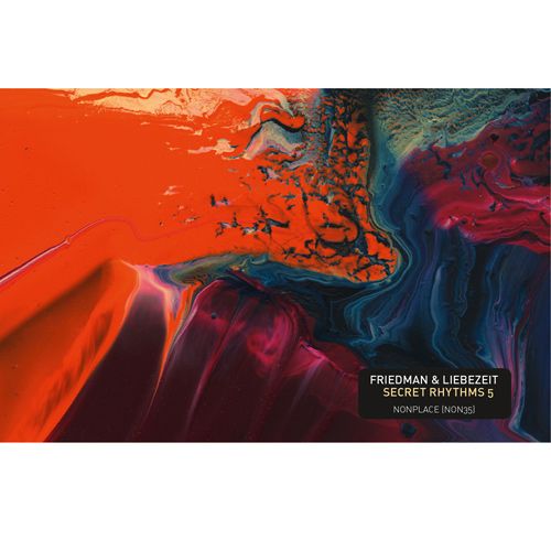 secret rhythms 5 burnt friedman 