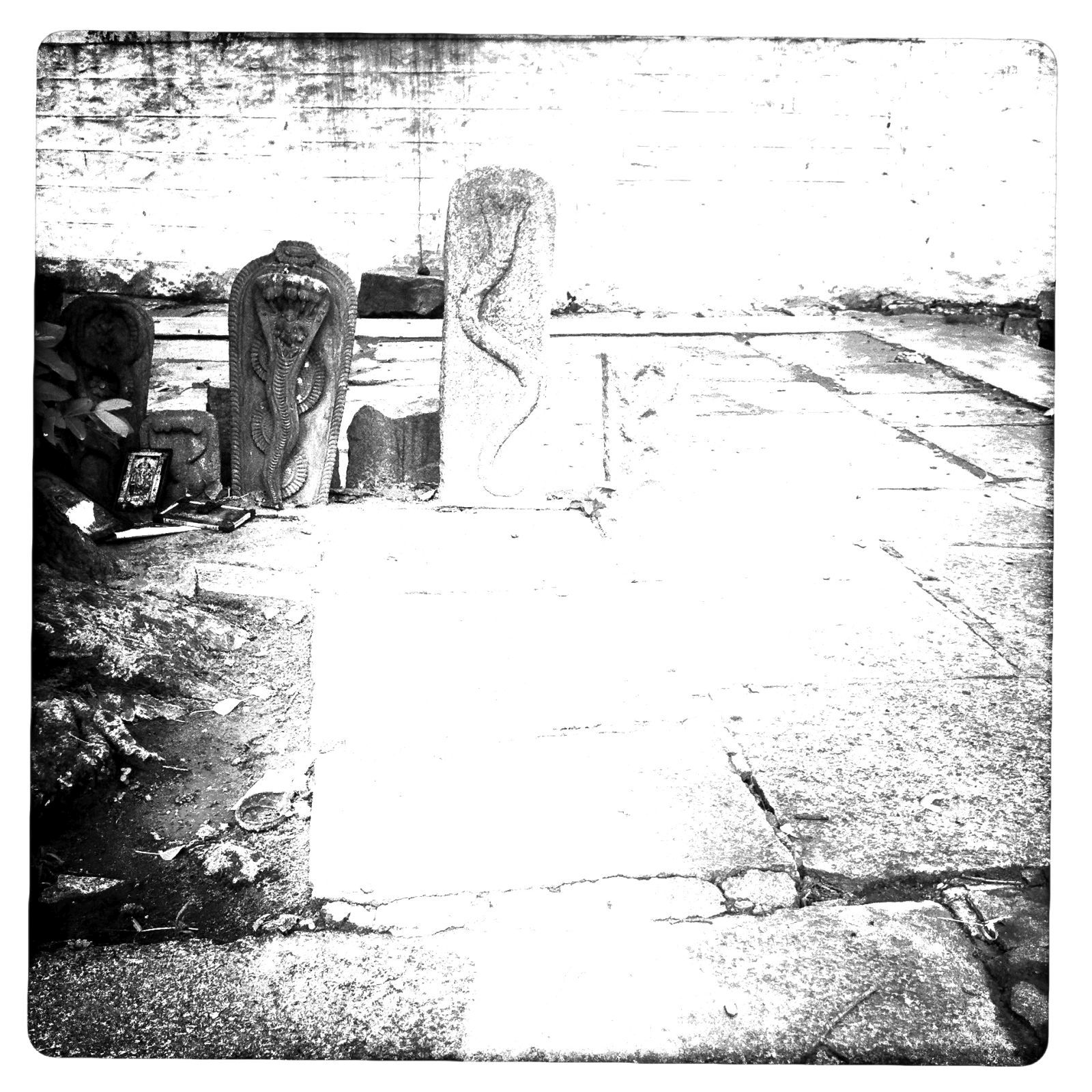 secret sounds the cult of dom kell 