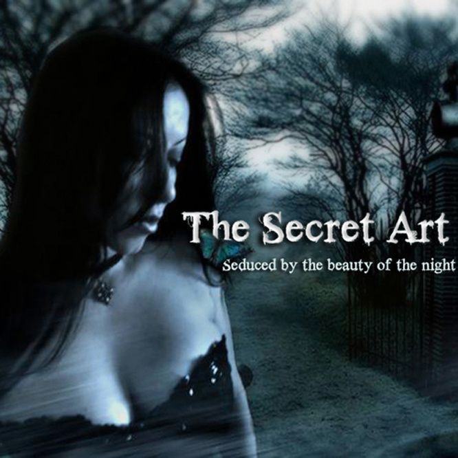 seduced by the beaut the secret art 