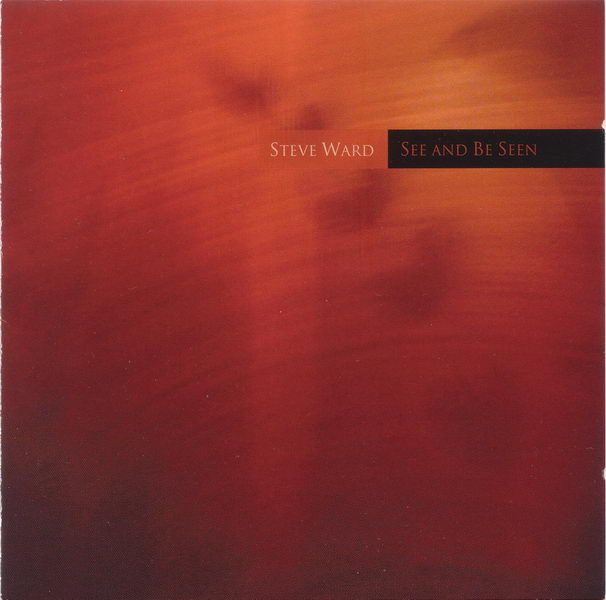 see and be seen steve ward 