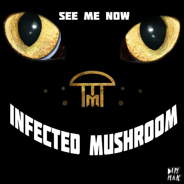 see me now infected mushroom 