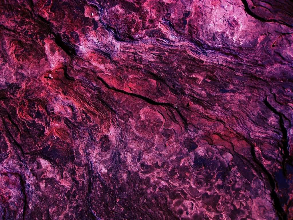 see of sound butterflydreem  