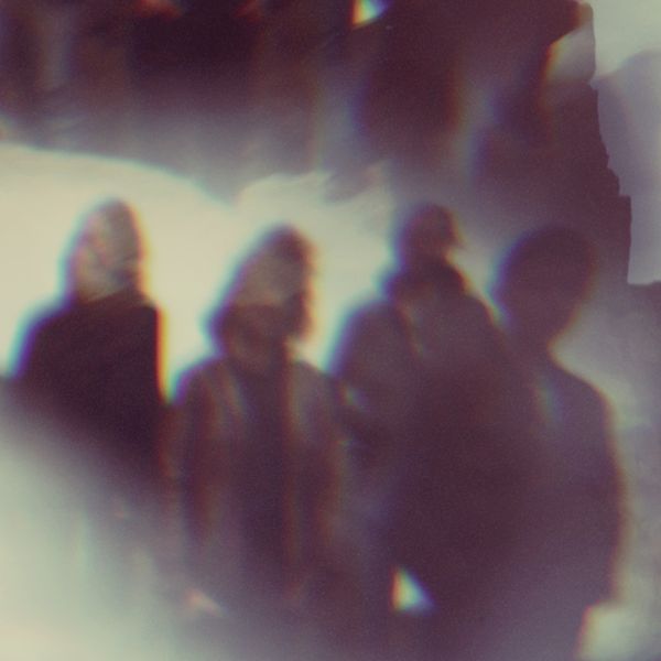 see the light all wolf cub  