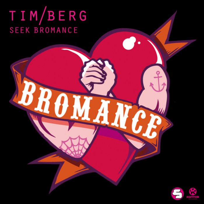 seek bromance tim berg 